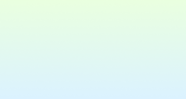Custom Software